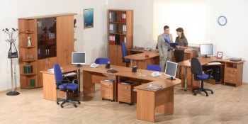 Мебель для персонала Альфа 61 Ольха в Лебедёвке - lebedyovka.mebel54.com | фото